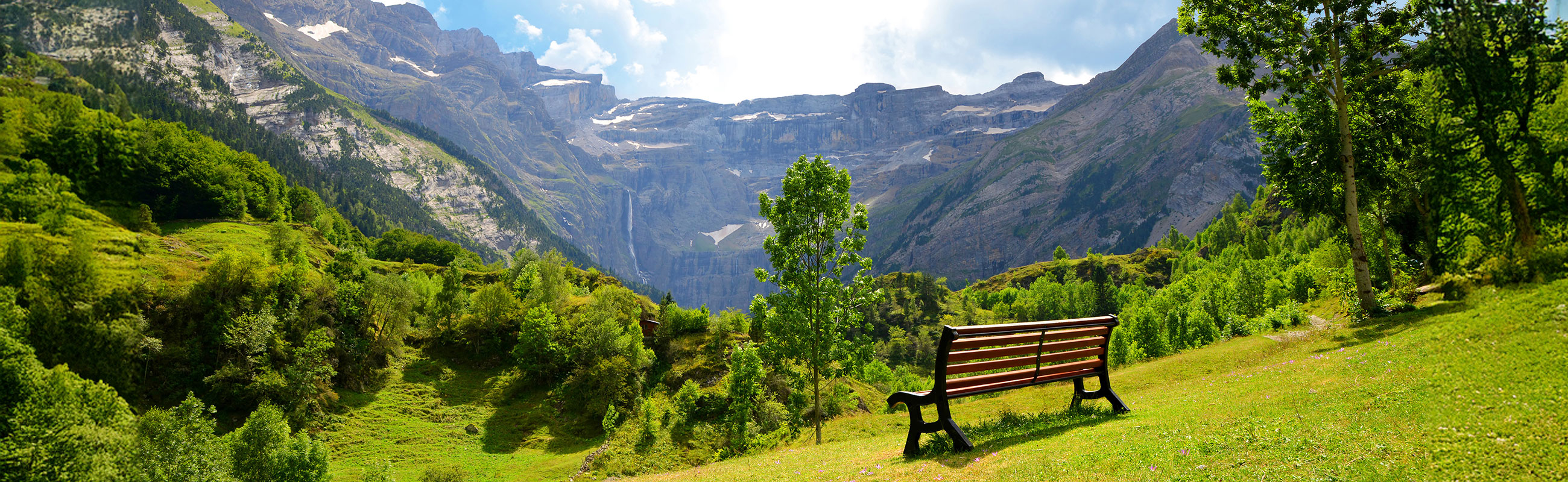 Paartherapie & Trauerbegleitung Fulda & Saalfeld